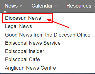 website-guide-news-diocesan-news